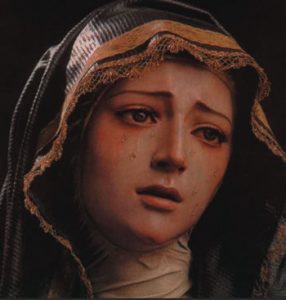 “Mary lived and suffered like us ...”