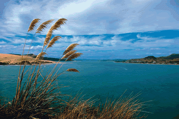 Hokianga Harbour