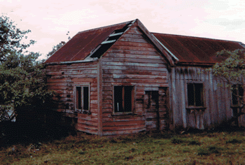 The remains of the Marists’ house at Purakau, on the north side of the Hokianga Harbour, in 1994. The building no longer exists.