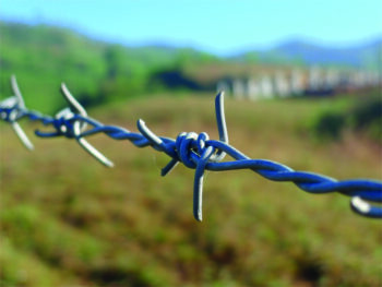 Barbed wire